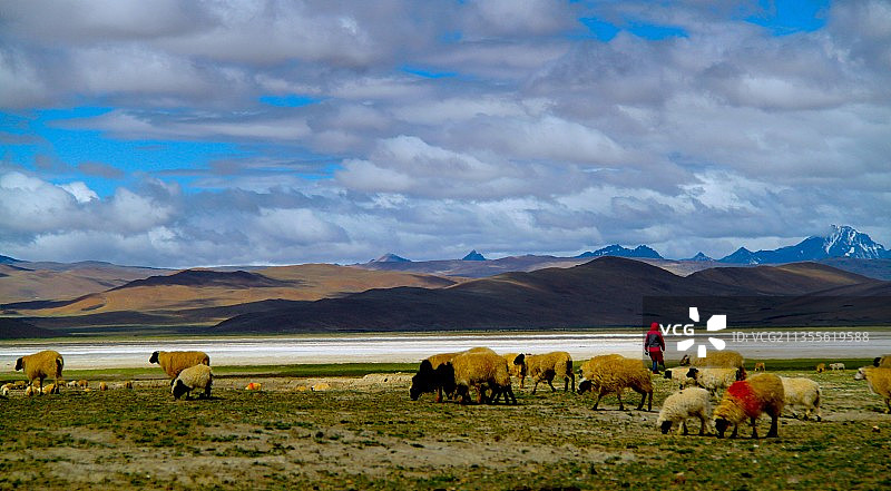 哲古措湖边，凝望远方那座雪山图片素材