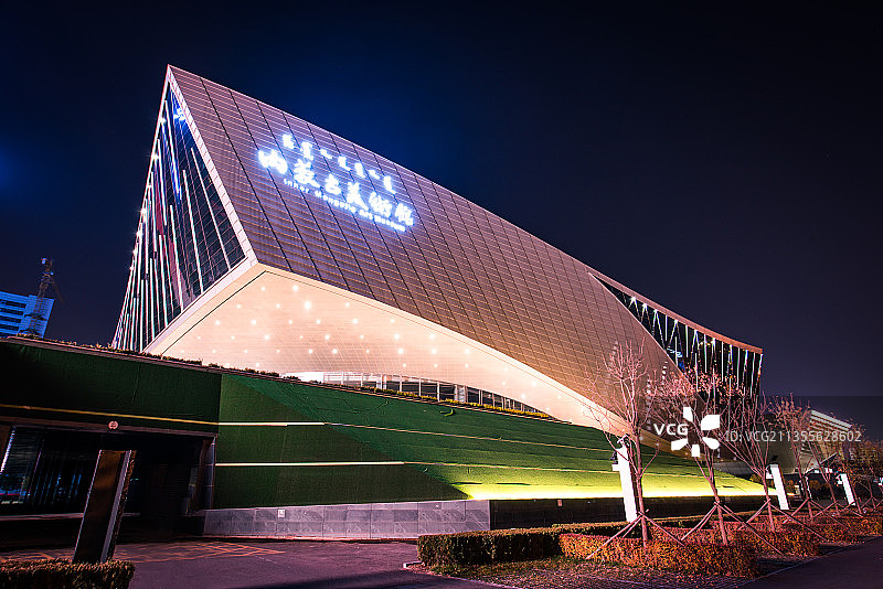 内蒙古美术馆夜景图片素材