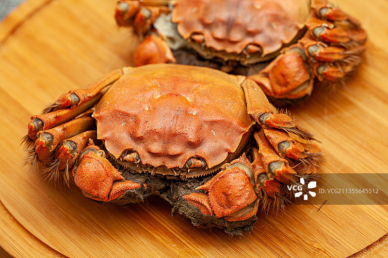 红色的河蟹大闸蟹图片素材