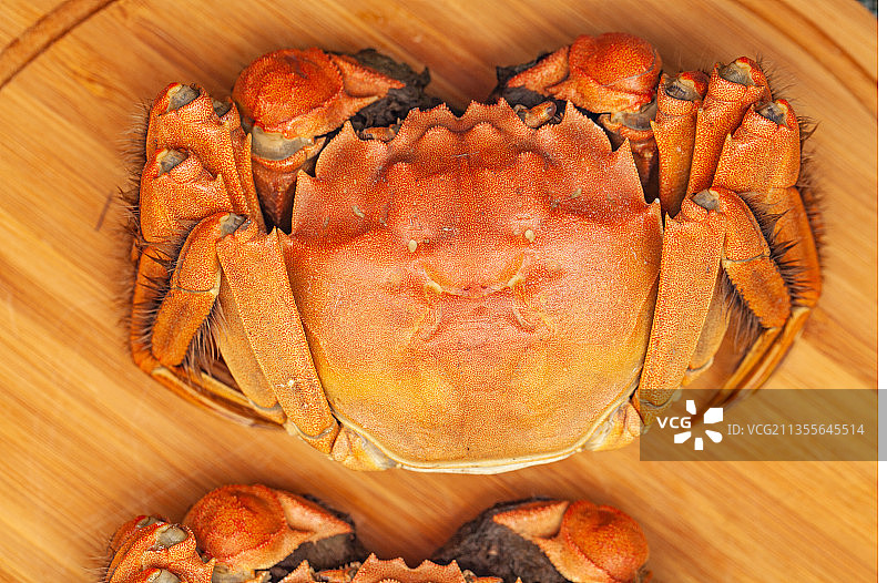 红色的河蟹大闸蟹图片素材