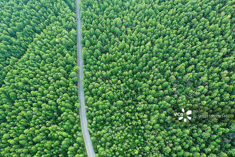 呼伦贝尔嘎仙洞森林公园图片素材