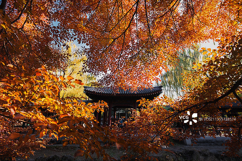 北京 颐和园 谐趣园 秋景图片素材