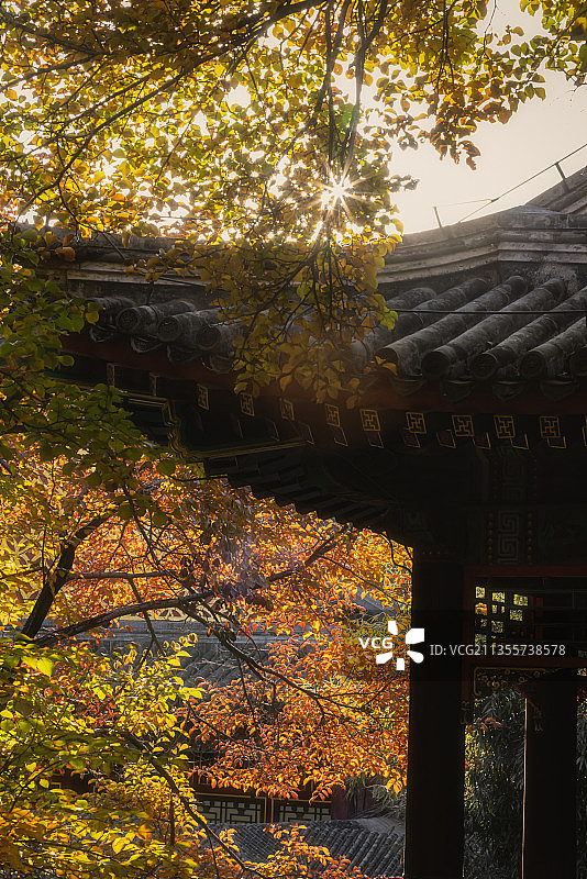 北京 颐和园 谐趣园 秋景图片素材