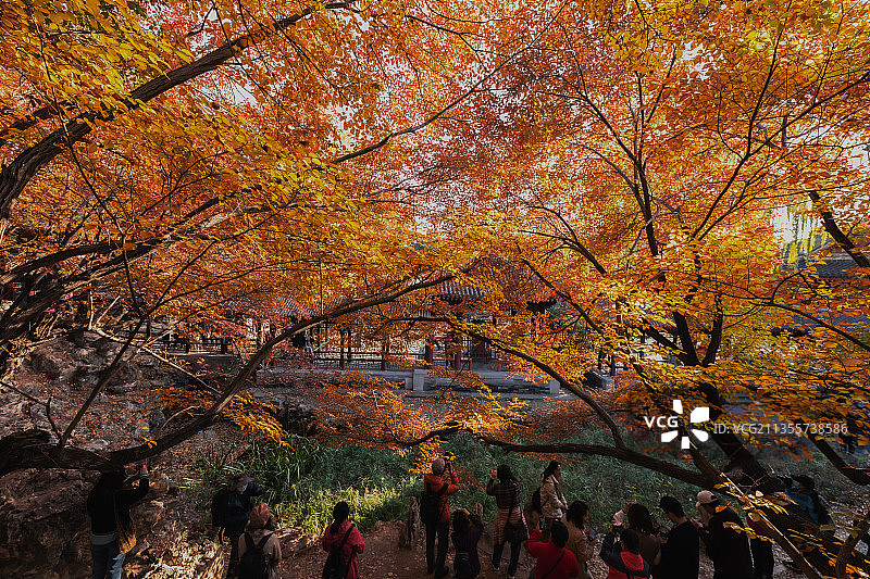 北京 颐和园 谐趣园 秋景图片素材