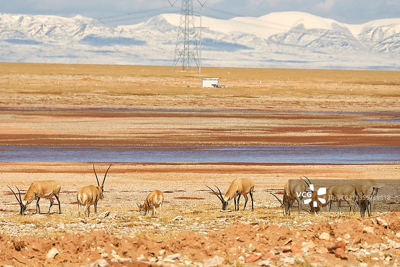 三江源国家公园图片素材