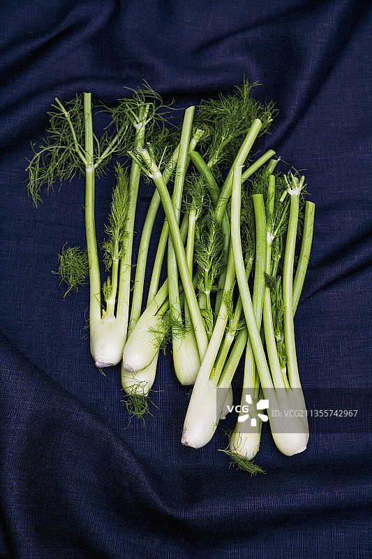 小茴香图片素材