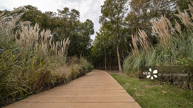 九科绿洲 上海图片素材