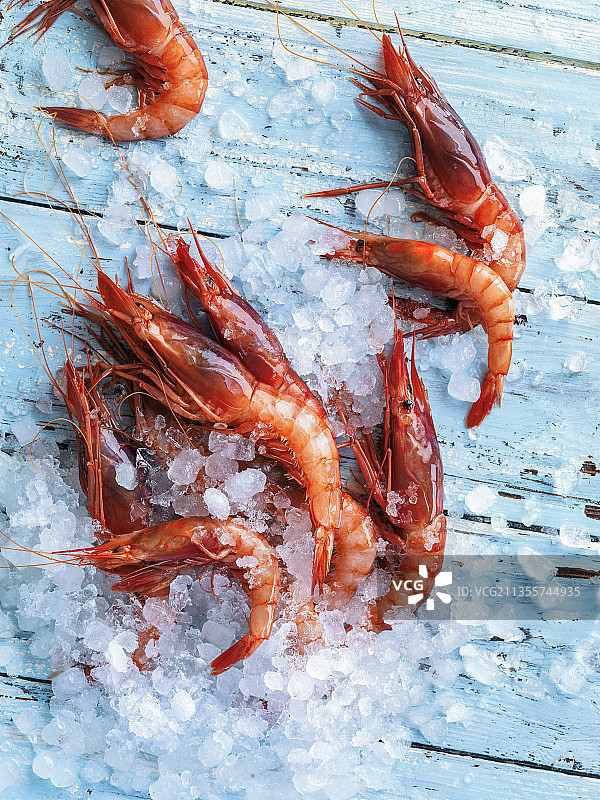 冰上的红虾图片素材