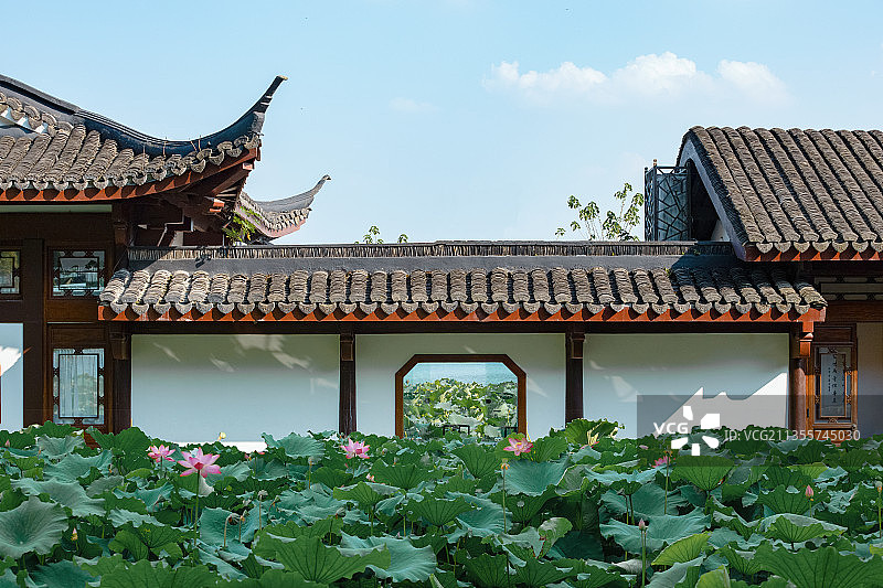 曲院风荷湛碧楼图片素材