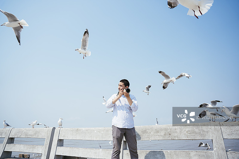 野生动物摄影师-一名男子用相机拍摄一群海鸥在海岸上飞翔。图片素材