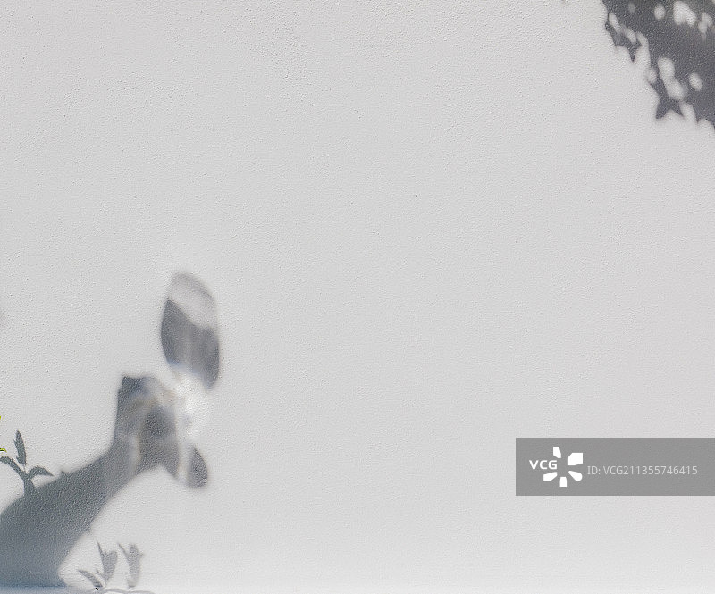 皮影戏图片素材