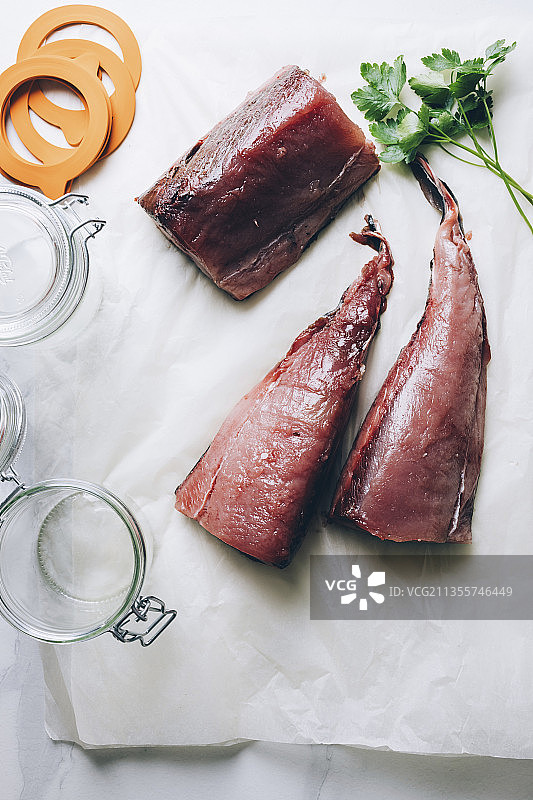 长鳍金枪鱼图片素材