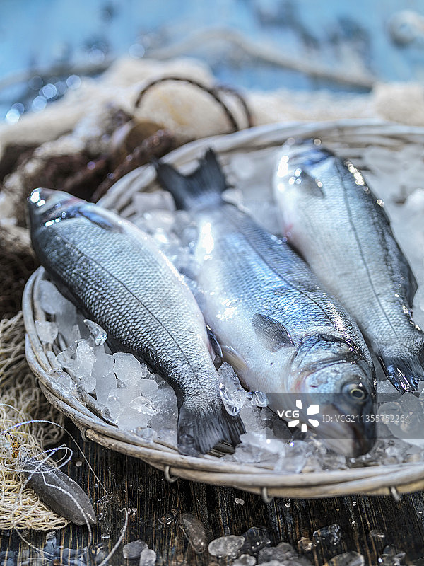 冰鲜鲈鱼图片素材