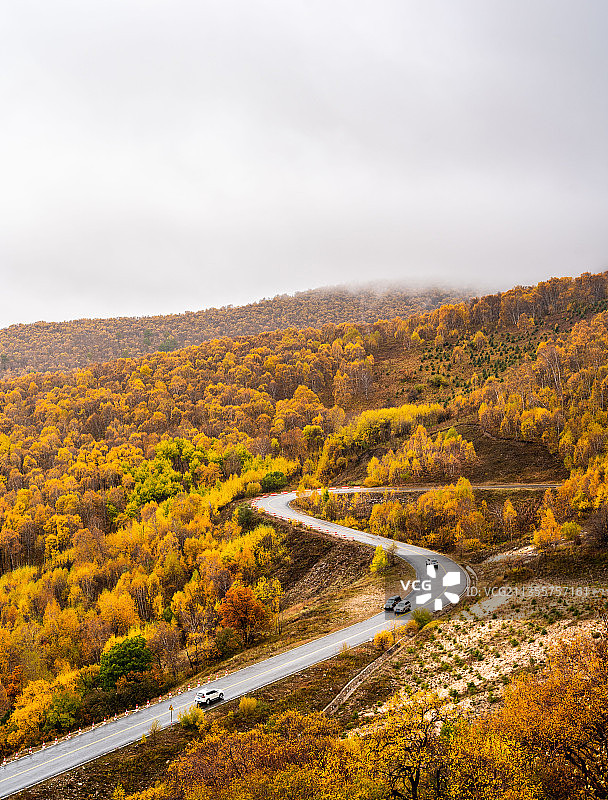 内蒙古 黄岗梁国家森林公园图片素材