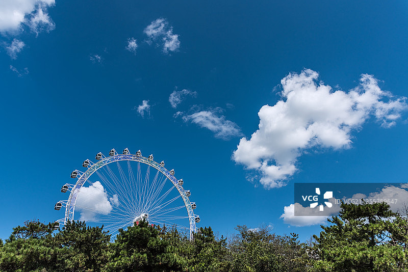 夏季蓝天白云下辽宁大连公园里的摩天轮图片素材