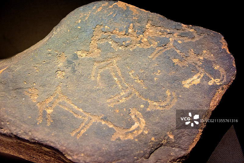 中国宁夏博物馆馆藏贺兰山岩画图片素材