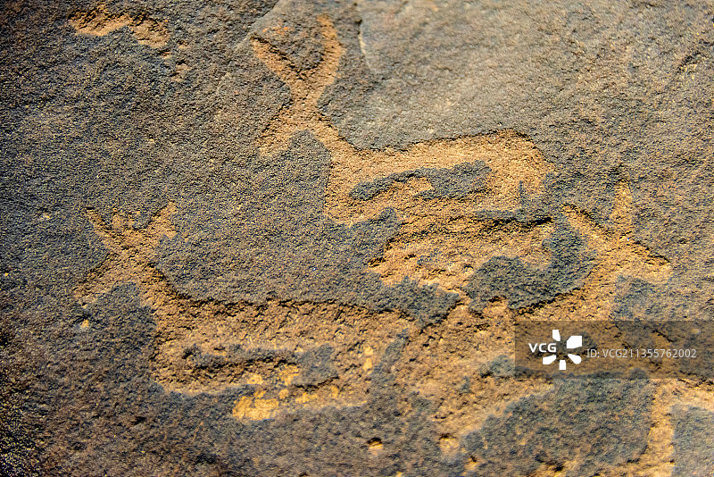 中国宁夏博物馆馆藏贺兰山岩画图片素材