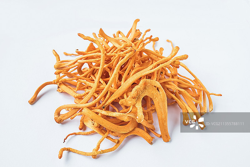 新鲜的虫草花图片素材