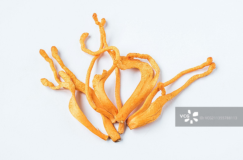 新鲜的虫草花图片素材