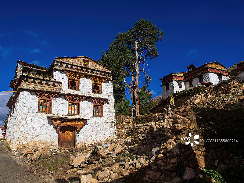 四川甘孜稻城-著杰寺-藏马鸡图片素材