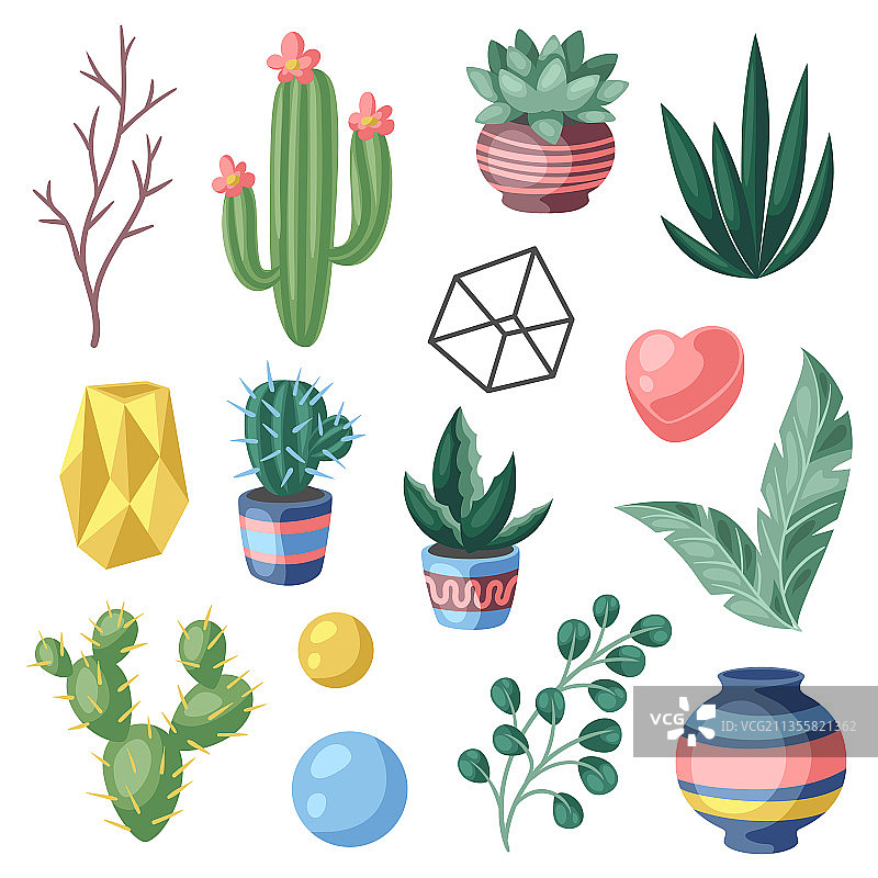 装饰性多刺仙人掌和多肉植物合集图片素材