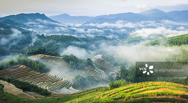 云雾梯田美图片素材