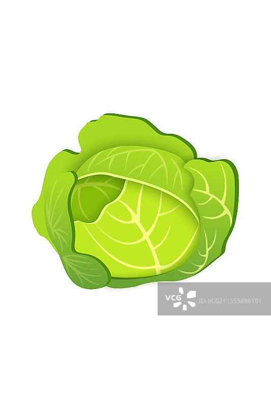 系列剪纸风格生鲜蔬菜水果之包菜图片素材