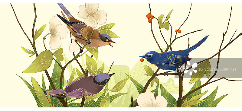 中国风，鸟，植物，工笔画，手绘，插画图片素材