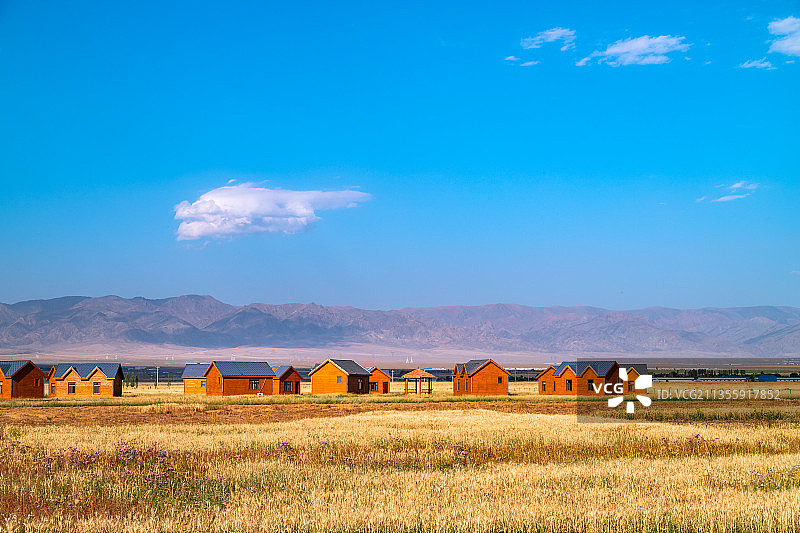 新疆哈密巴里坤高家湖麦田房子与天山图片素材