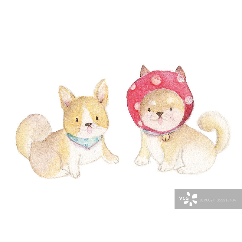 水彩手绘淡彩动物小柴犬狗旺财犬图片素材