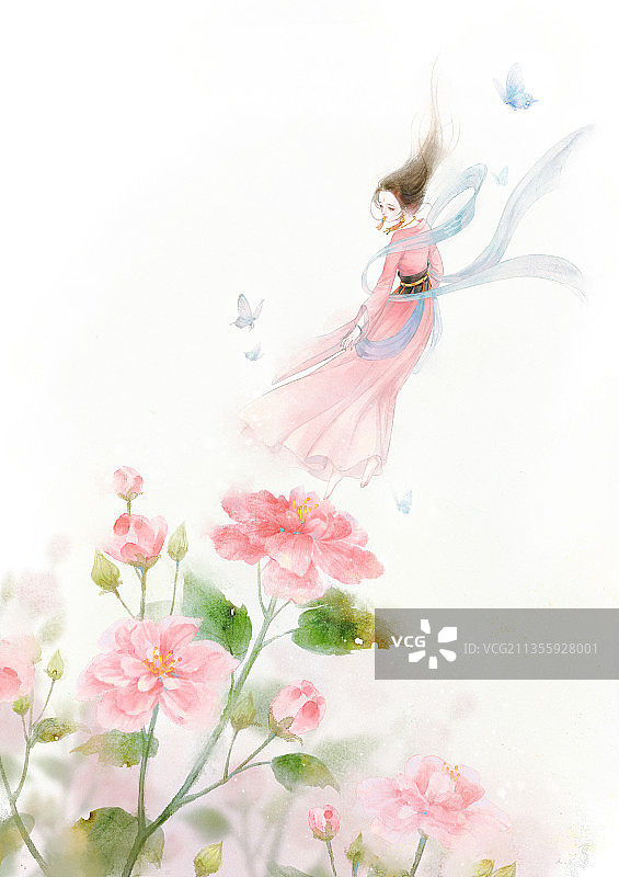 木芙蓉花开图片素材