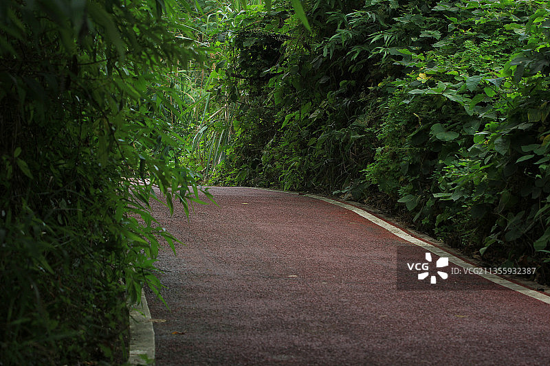 道路 绿色 秋天 户外 小路图片素材