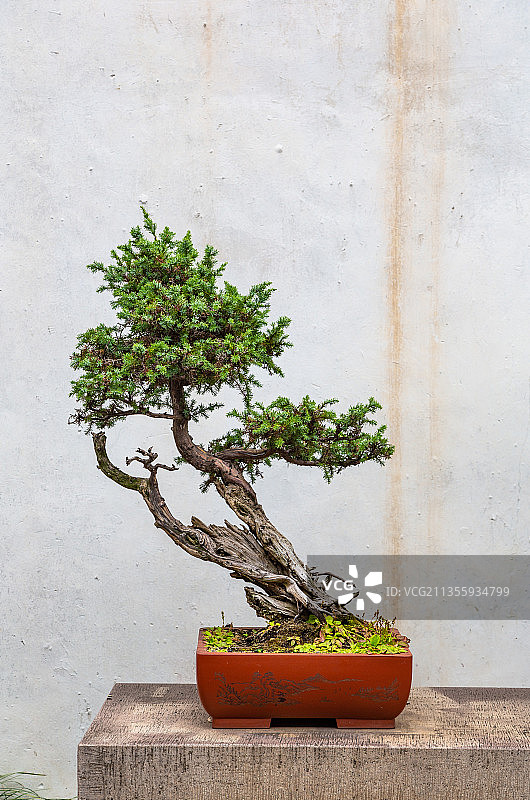 苏州园林盆景艺术图片素材