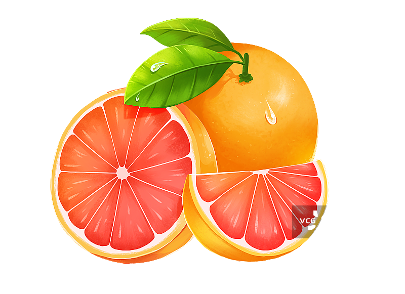 橙子西柚水果图片素材