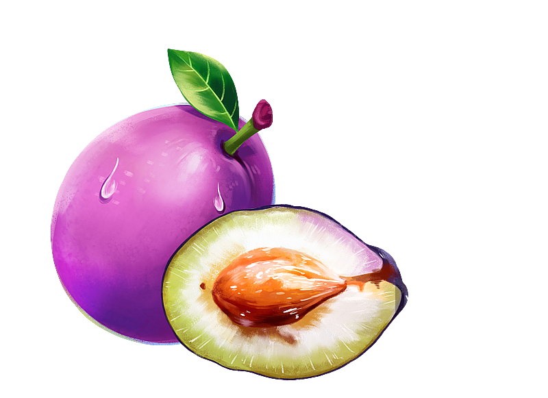 西梅乌梅水果图片素材