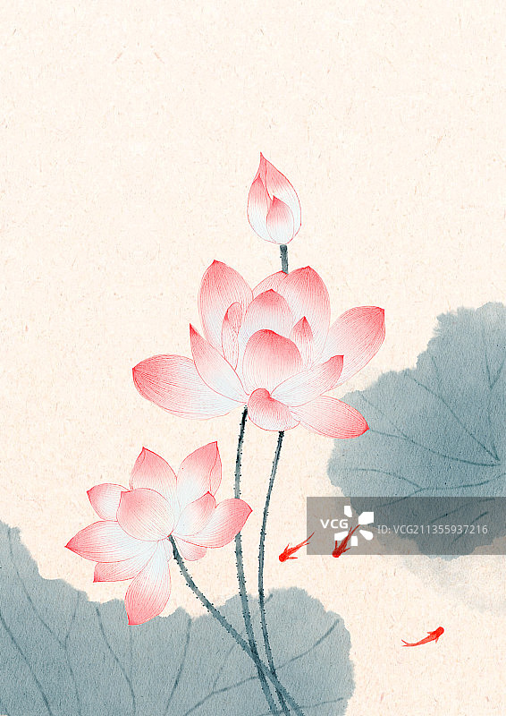 手绘工笔风格荷花图片素材