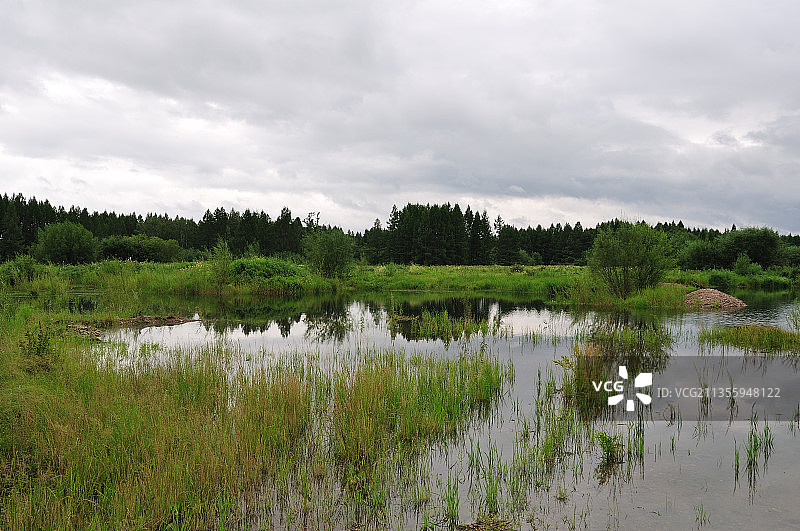 湿地图片素材