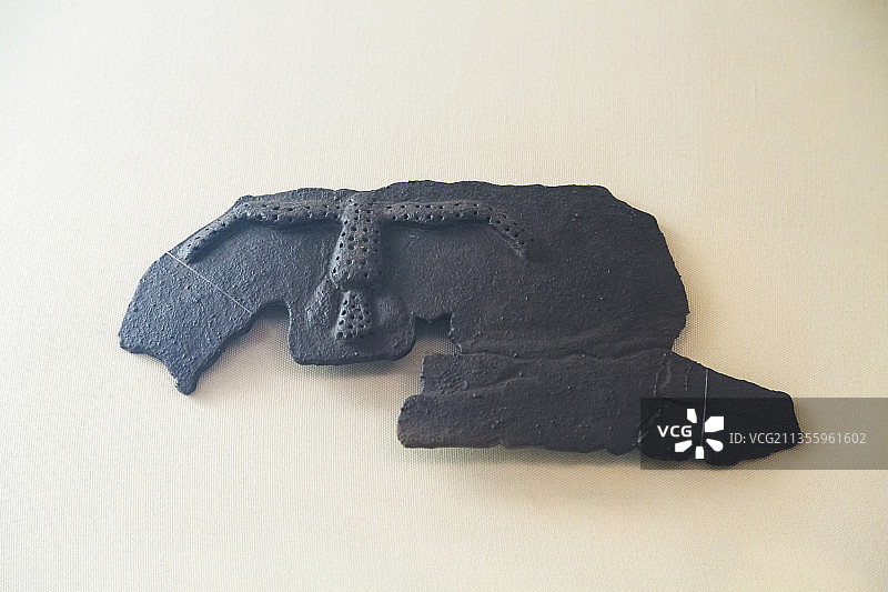 昂昂溪遗址博物馆藏品，海东青，镇馆之宝，猎鹰图片素材