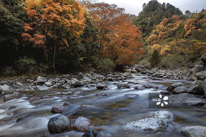 秋日流水图片素材