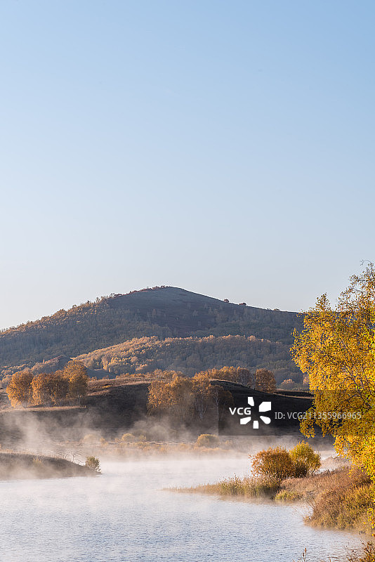 秋天日出下内蒙古赤峰蛤蟆坝水库的白桦林图片素材
