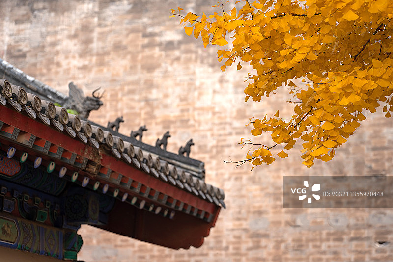 故宫西华门外古建筑屋檐角兽与金黄色的银杏叶图片素材