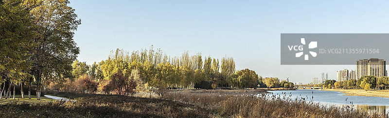 宁夏银川爱伊河畔秋景图片素材