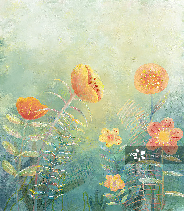 植物插画图片素材