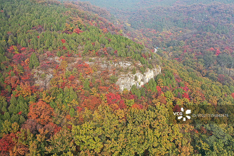 山东枣庄山亭区抱犊崮国家森林公园层林尽染宛若调色板图片素材