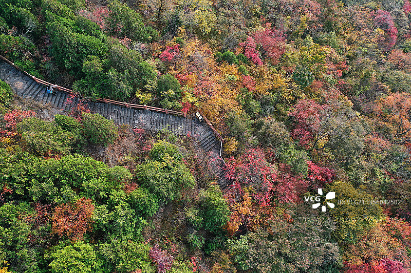 山东枣庄山亭区抱犊崮国家森林公园层林尽染宛若调色板图片素材