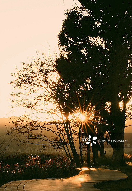夕阳西下，旅人归家图片素材