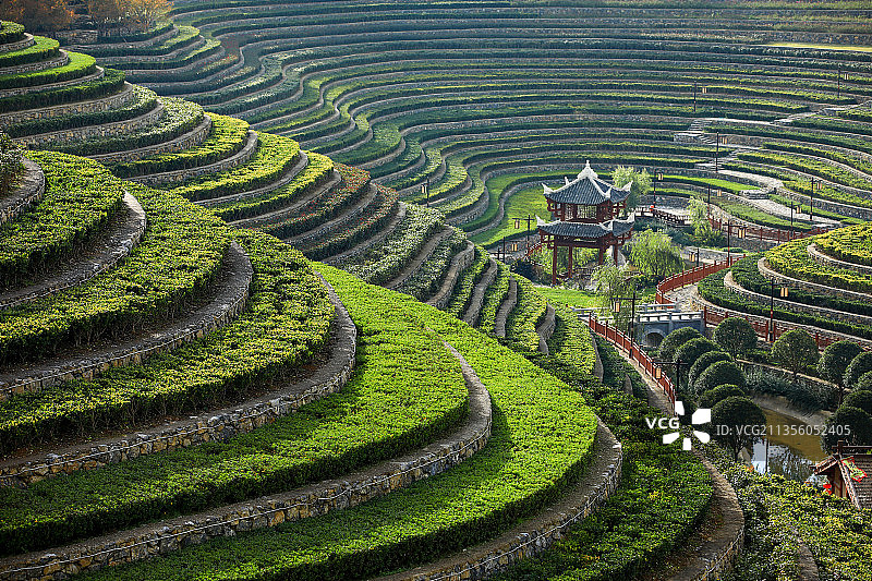 奢香古镇-古彝梯田图片素材