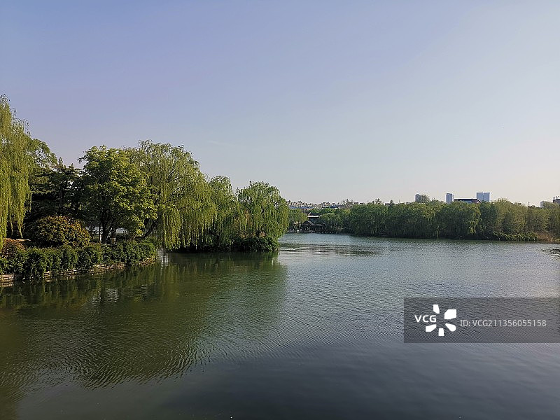大明湖之春图片素材