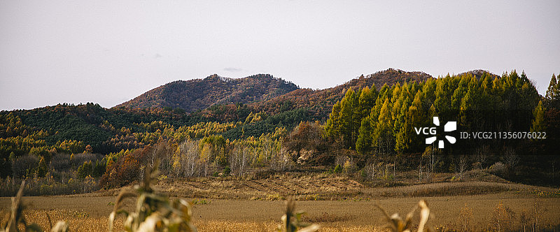 五花山图片素材