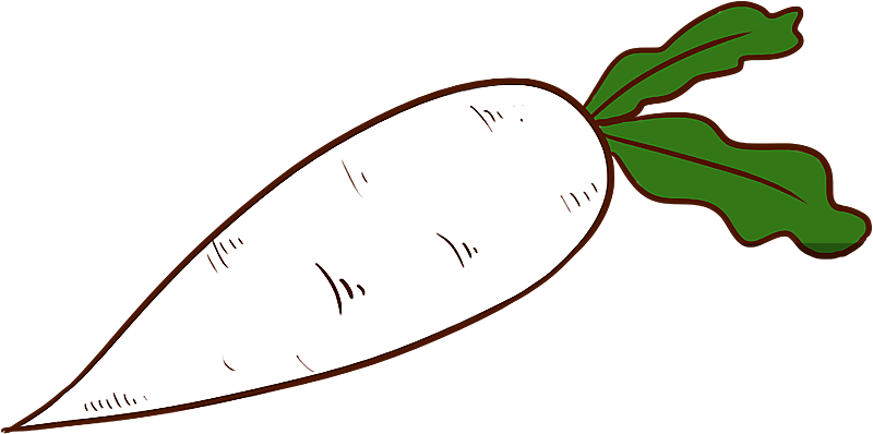 卡通手绘白萝卜食物图片素材